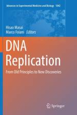 DNA Replication