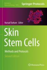 Skin Stem Cells