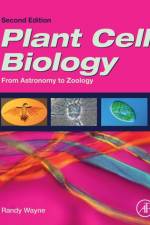 Plant Cell Biology
