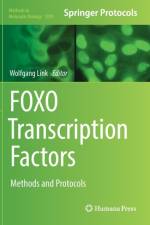 FOXO Transcription Factors