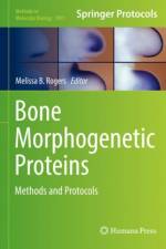 Bone Morphogenetic Proteins