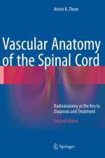 Vascular Anatomy of the Spinal Cord