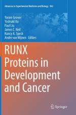 RUNX Proteins in Development and Cancer