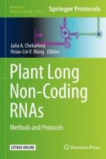 Plant Long Non-Coding RNAs