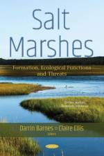 Salt Marshes