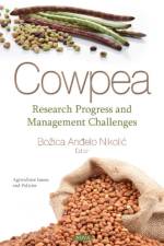 Cowpea