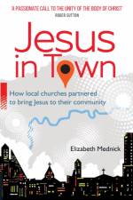Jesus in Town af Elizabeth Mednick