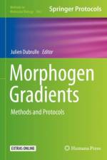 Morphogen Gradients