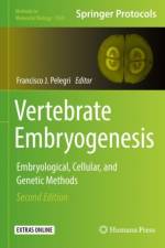 Vertebrate Embryogenesis