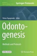 Odontogenesis