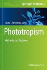 Phototropism
