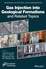 Gas Injection into Geological Formations and Related Topics af A Wu