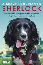 A Brave Dog Named Sherlock af Paul Osborne