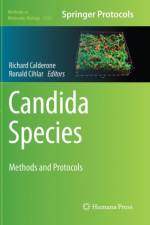 Candida Species