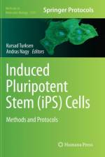 Induced Pluripotent Stem (iPS) Cells