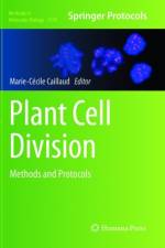 Plant Cell Division