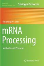 mRNA Processing