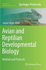 Avian and Reptilian Developmental Biology