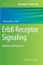 ErbB Receptor Signaling