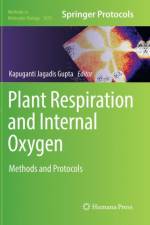 Plant Respiration and Internal Oxygen