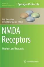 NMDA Receptors