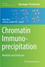 Chromatin Immunoprecipitation