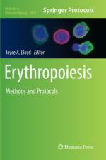 Erythropoiesis