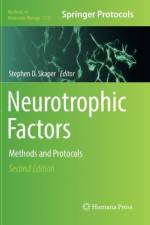 Neurotrophic Factors