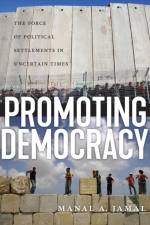 Promoting Democracy
