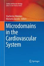 Microdomains in the Cardiovascular System