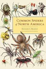 Common Spiders of North America af Richard A. Bradley
