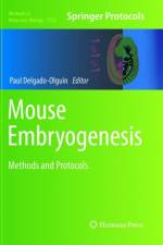 Mouse Embryogenesis