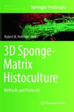 3D Sponge-Matrix Histoculture