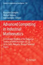 Advanced Computing in Industrial Mathematics