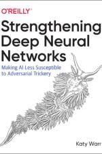 Strengthening Deep Neural Networks af Katy Warr