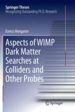 Aspects of WIMP Dark Matter Searches at Colliders and Other Probes af Enrico Morgante