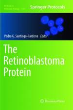 Retinoblastoma Protein