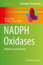 NADPH Oxidases