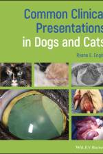 Common Clinical Presentations in Dogs and Cats af Ryane E. (Midwestern University College of Veterinary Medicine Englar