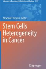 Stem Cells Heterogeneity in Cancer