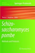 Schizosaccharomyces pombe