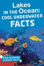 Lakes in the Ocean af Kimberly M. Hutmacher