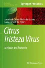 Citrus Tristeza Virus