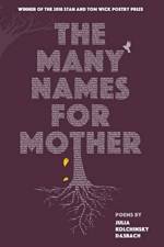 The Many Names for Mother af Julia Kolchinsky Dasbach