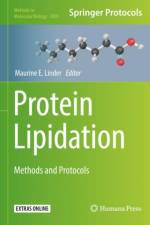 Protein Lipidation