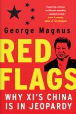 Red Flags af George Magnus