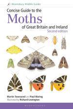 Concise Guide to the Moths of Great Britain and Ireland: Second edition af Martin Townsend