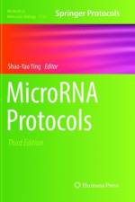 MicroRNA Protocols