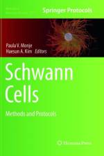 Schwann Cells