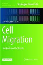 Cell Migration